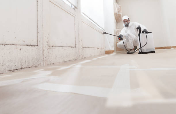 24/7 Emergency Mold Removal experts in Fort Myer, VA